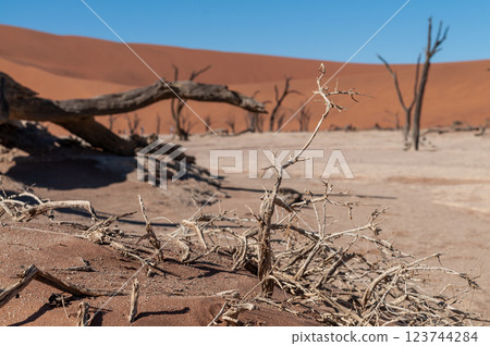 Barren landscape near Deadvlei and sossusvlei 123744284