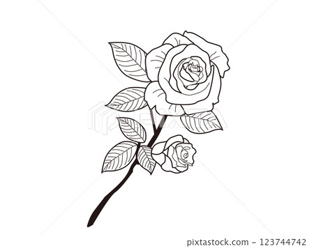 Black and white rose line art Black and white rose line art 123744742