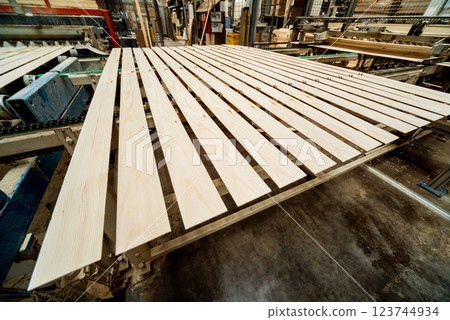 Production line of the wooden floor factory. CNC automatic woodworking machine. 123744934