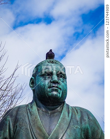 A pigeon facing the same direction as Saigo, Ueno Ward, Tokyo 123744989