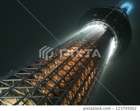 點燃的天空樹 點燃的天空樹 123745002