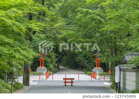 Kyoto: Shimogamo Shrine approach, fresh greenery in Tadasu Forest Kyoto: Shimogamo Shrine approach, fresh greenery in Tadasu Forest 123745009