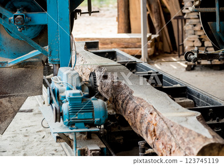 Modern sawmill. Industry sawing boards from logs Modern sawmill. Industry sawing boards from logs 123745119