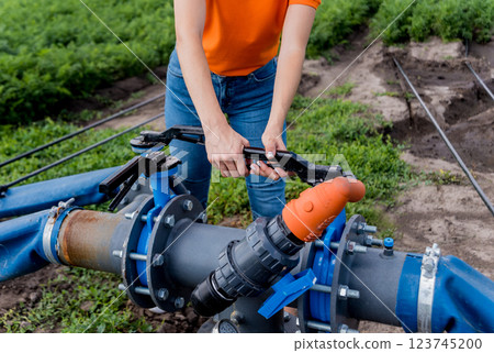 Drip irrigation system. Water saving drip irrigation system being used  123745200