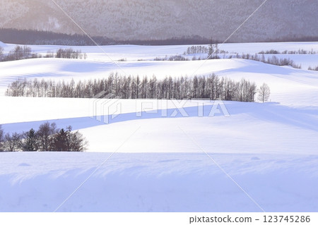 <Hokkaido> Winter snowy landscape of Kamifurano - A monochrome world <Hokkaido> Winter snowy landscape of Kamifurano - A monochrome world 123745286