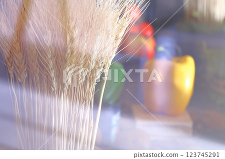 Hokkaido-grown grain image 123745291
