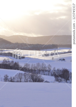 <Hokkaido> Winter snowy landscape of Kamifurano - A monochrome world <Hokkaido> Winter snowy landscape of Kamifurano - A monochrome world 123745317