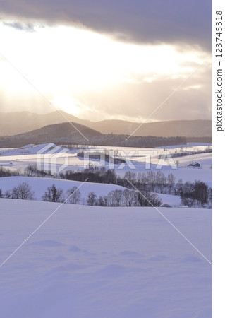 <Hokkaido> Winter snowy landscape of Kamifurano - A monochrome world <Hokkaido> Winter snowy landscape of Kamifurano - A monochrome world 123745318