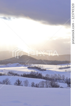 <Hokkaido> Winter snowy landscape of Kamifurano - A monochrome world <Hokkaido> Winter snowy landscape of Kamifurano - A monochrome world 123745320