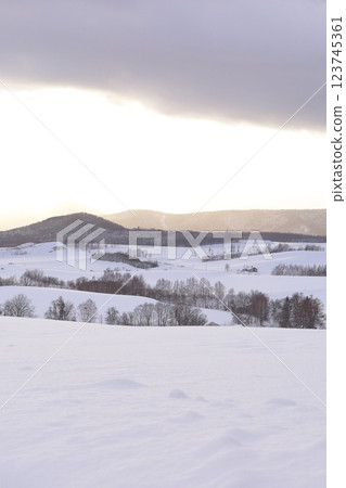 <北海道>冬季上富良野雪景~單色的世界 <北海道>冬季上富良野雪景~單色的世界 123745361