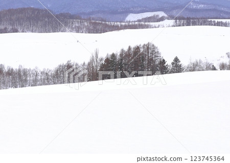 <Hokkaido> Winter snowy landscape of Kamifurano - A monochrome world <Hokkaido> Winter snowy landscape of Kamifurano - A monochrome world 123745364