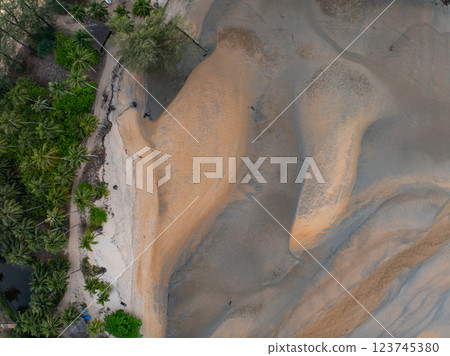 Bird eye view seashore with waves crashing on sand beach,Beautiful waves sea surface in sunset time, Amazing seascape top view seacoast landscape view 123745380