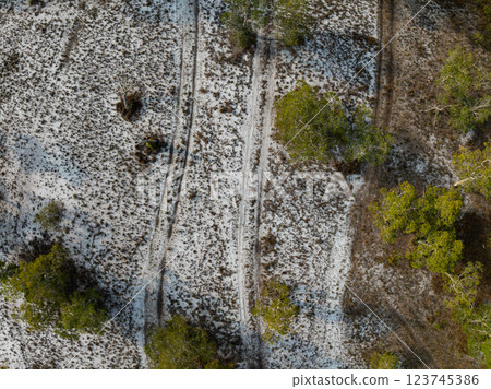 White samet or cajuput trees in wetlands forest at koh prathong island,Phang nga Thailand,Greenery botanic forest,Drone wide angle lens 123745386
