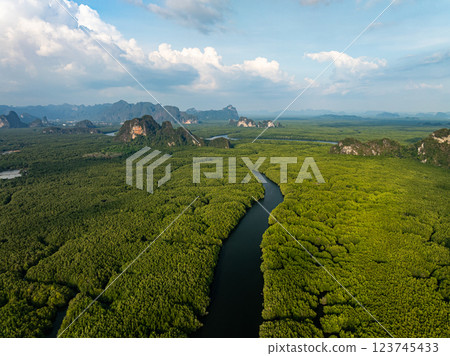 Amazing abundant mangrove forest,Aerial view of forest trees Rainforest ecosystem and healthy environment background,Texture of green trees forest top down,High angle view Amazing abundant mangrove forest,Aerial view of forest trees Rainforest ecosystem and healthy environment background,Texture of green trees forest top down,High angle view 123745433