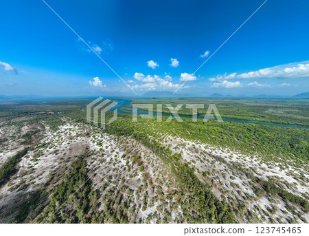 White samet or cajuput trees in wetlands forest at koh prathong island,Phang nga Thailand,Greenery botanic forest,Drone wide angle lens 123745465