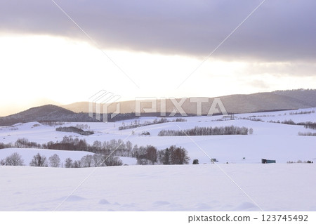 <Hokkaido> Winter snowy landscape of Kamifurano - A monochrome world <Hokkaido> Winter snowy landscape of Kamifurano - A monochrome world 123745492