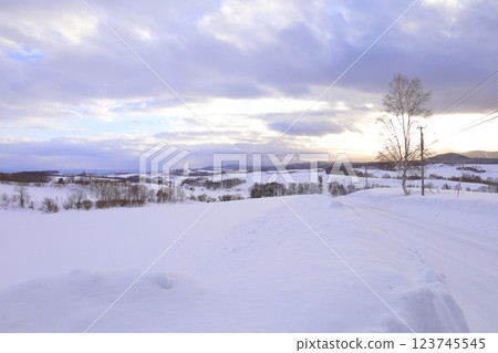 <北海道>冬季上富良野雪景～單色的世界 123745545