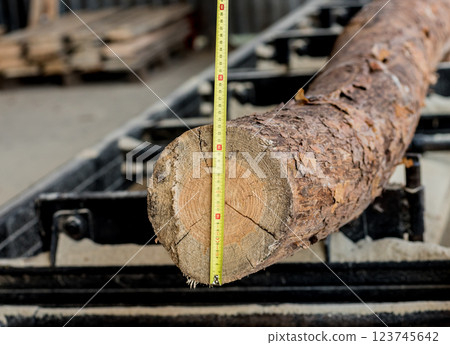 Modern sawmill. Industry sawing boards from logs Modern sawmill. Industry sawing boards from logs 123745642