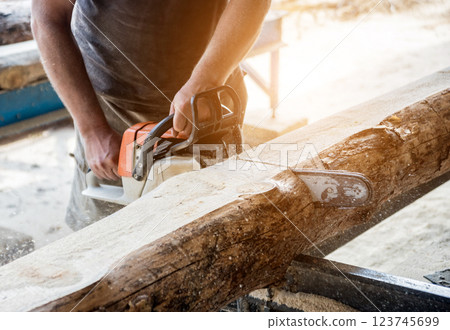 Woodcutter cutting tree with chainsaw on sawmill. Modern sawmill. Woodcutter cutting tree with chainsaw on sawmill. Modern sawmill. 123745699