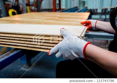 Carpenter with fibreboards at furniture factory workshop. Woodworking industry 123745796