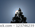 Pollen light ring 123746239