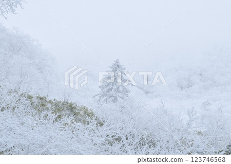 Orofure Pass (winter) 123746568