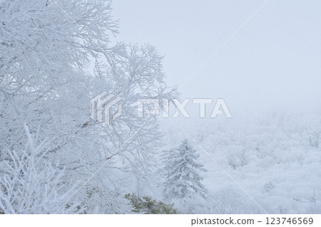 Orofure Pass (winter) 123746569