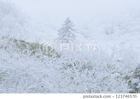 奧羅弗雷山口（冬季） 123746570