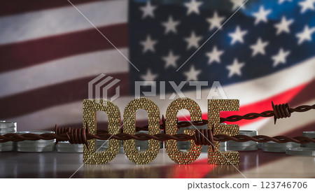 The Doge and coins on USA flag Background  3d Rendering. 123746706