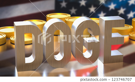 The Doge and coins on USA flag Background  3d Rendering. 123746707