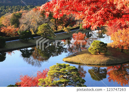 Landscape with autumn leaves 123747263
