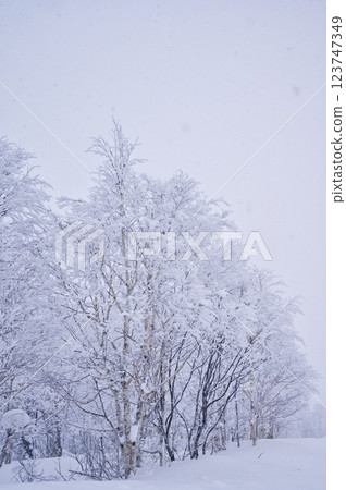 Orofure Pass (winter) 123747349