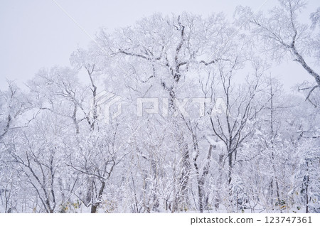 奧羅弗雷山口（冬季） 123747361