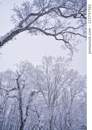 Orofure Pass (winter) 123747362
