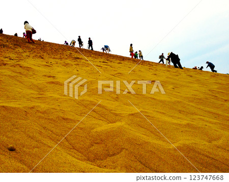 Tottori sand dunes Tottori sand dunes 123747668