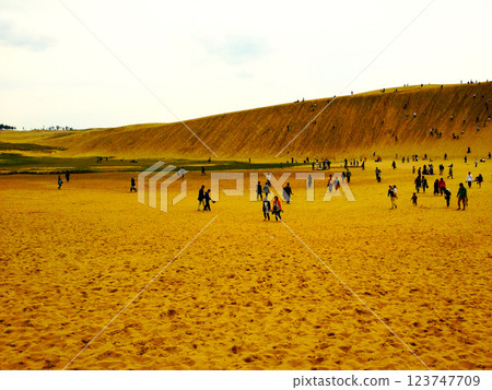 Tottori sand dunes Tottori sand dunes 123747709