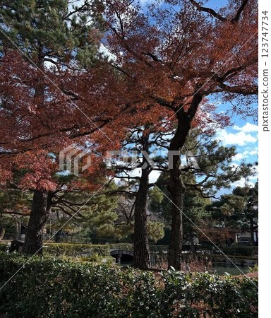 The beginning of autumn 123747734