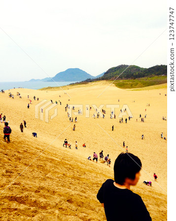 Tottori sand dunes 123747747