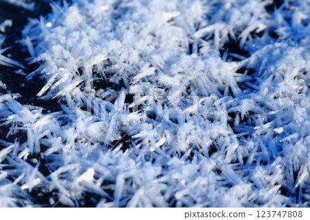 Morning when frost fell 123747808