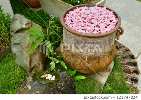 街角花 街角花 123747824