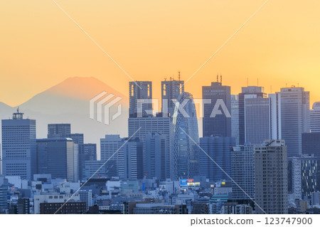A collaboration of Mt. Fuji and the evening/night view of Tokyo (Shinjuku) A collaboration of Mt. Fuji and the evening/night view of Tokyo (Shinjuku) 123747900
