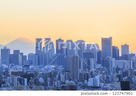 A collaboration of Mt. Fuji and the evening/night view of Tokyo (Shinjuku) A collaboration of Mt. Fuji and the evening/night view of Tokyo (Shinjuku) 123747901