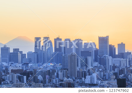 A collaboration of Mt. Fuji and the evening/night view of Tokyo (Shinjuku) A collaboration of Mt. Fuji and the evening/night view of Tokyo (Shinjuku) 123747902