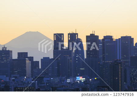 富士山與東京(新宿)的夜景交相輝映 富士山與東京(新宿)的夜景交相輝映 123747916