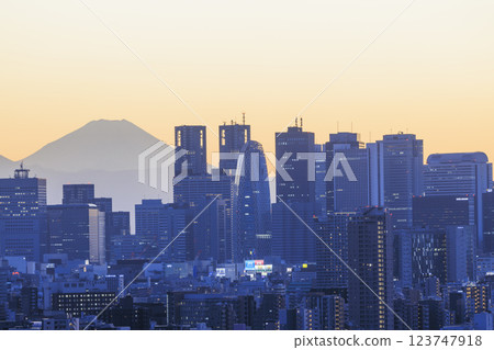 富士山與東京(新宿)的夜景交相輝映 富士山與東京(新宿)的夜景交相輝映 123747918