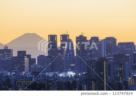 A collaboration of Mt. Fuji and the evening/night view of Tokyo (Shinjuku) A collaboration of Mt. Fuji and the evening/night view of Tokyo (Shinjuku) 123747924