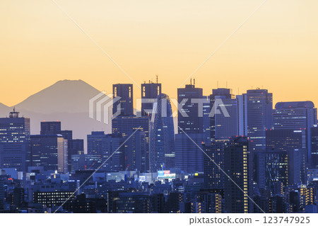 A collaboration of Mt. Fuji and the evening/night view of Tokyo (Shinjuku) 123747925