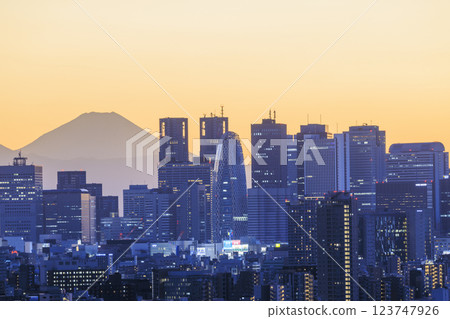 A collaboration of Mt. Fuji and the evening/night view of Tokyo (Shinjuku) 123747926