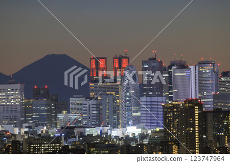 A collaboration of Mt. Fuji and the evening/night view of Tokyo (Shinjuku) 123747964