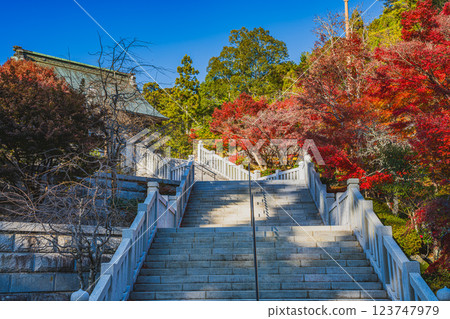 Scenery of the stairs dyed in autumn leaves at Hodasan Son'eiji Temple in Fukuroi City (Shizuoka Prefecture) 123747979
